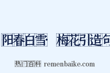 阳春白雪·梅花引造句是什么意思的图片